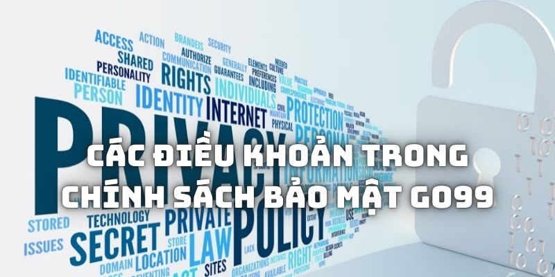 Tìm hiểu từng điều khoản trong bộ phận an ninh tại nhà cái Go99