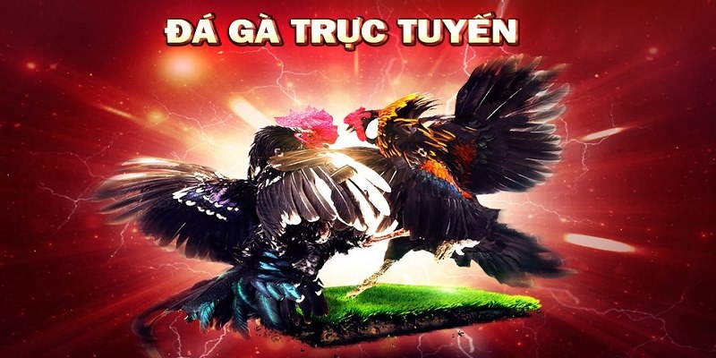 Trải nghiệm giao diện Go99 hiện đại