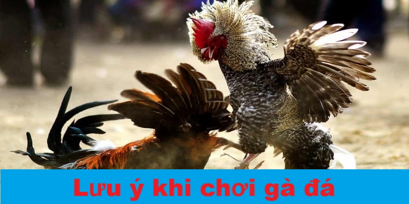 Các lưu ý nhỏ nhưng cũng góp phần vào chiến thắng
