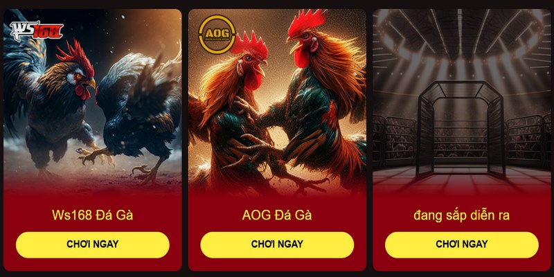 Trải nghiệm đấu trường gà đá Philippines