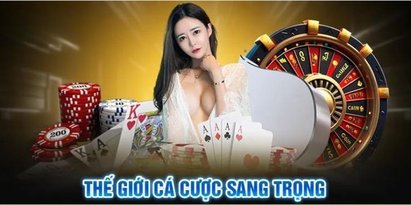 Sản phẩm chủ lực được trang web cung cấp
