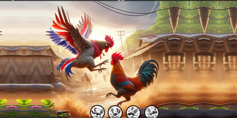 Đá gà chuối tốt nhất vào các dịp đầu xuân
