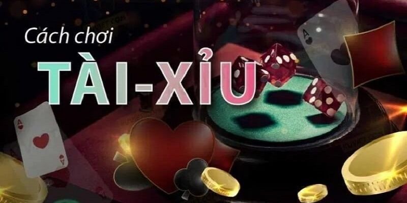 Hình thức đặt cược tài xỉu Go99 phong phú