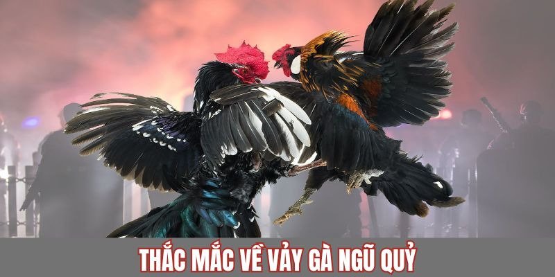 Những câu hỏi liên quan tới vảy gà ngũ quỷ