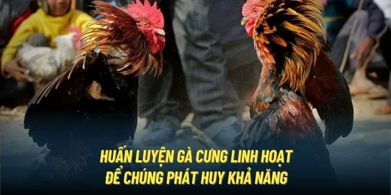 Cần đưa ra nhiều hình thức tập luyện linh hoạt