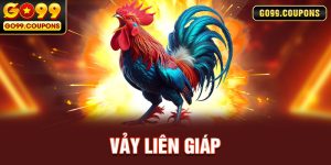 Vảy Liên Giáp - Dòng Vảy Thần Tài Được Săn Đón Nhất